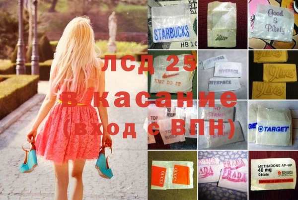 ешки Аркадак
