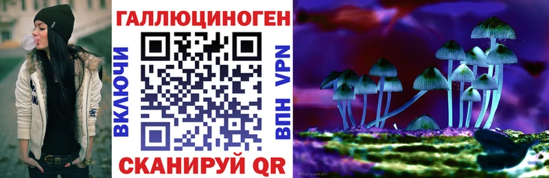 дарнет шоп  hydra зеркало  Псилоцибиновые грибы мицелий  Южно-Сухокумск 